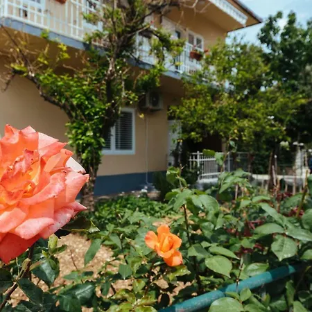 Daire Apartman Ankica *