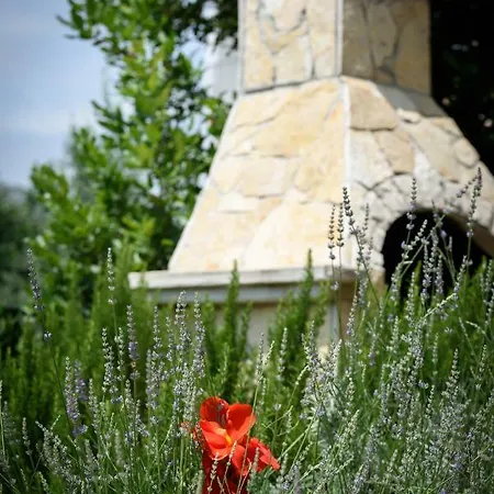 Daire Apartman Ankica Trogir