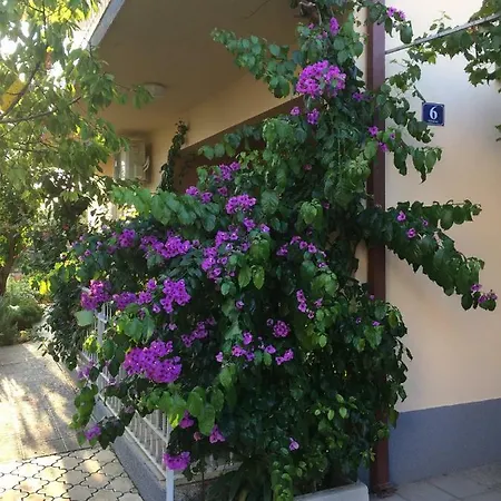 Daire Apartman Ankica *